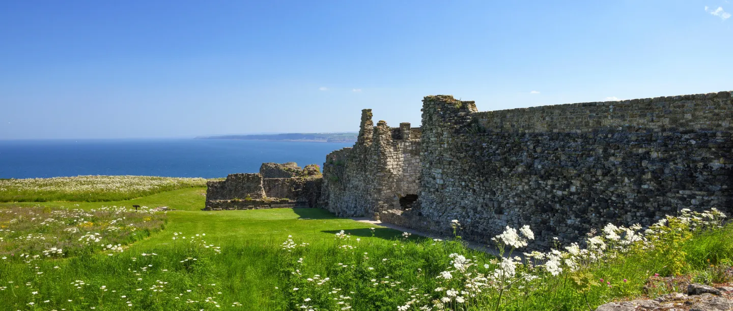 The curtain wall above a meadow of cow parsley, with the coast beyond