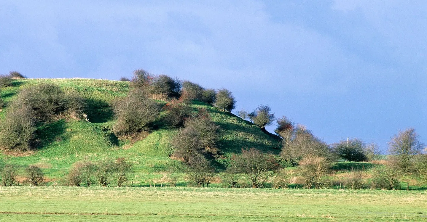 The grassy motte of Skipsea Castle dotted with hawthorn bushes, lit by sun beneath a dark blue sky
