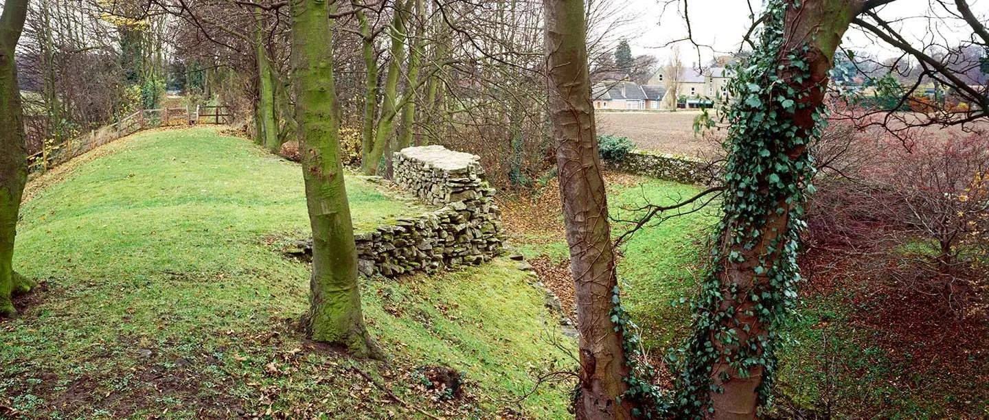 The excavated drystone face of the Iron Age rampart at Stanwick on a grassy bank among beech trees, with a ploughed field and houses beyond