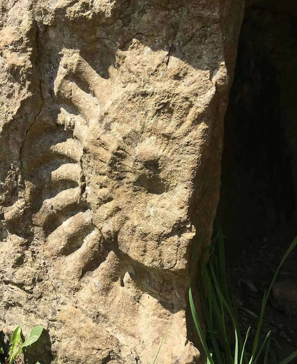 A large ammonite fossil impression on the stone beside the entrance to Stoney Littleton Long Barrow