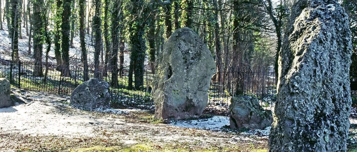Standing stones of the Nine Stones circle among ivy-covered trees, with a light dusting of snow on the ground