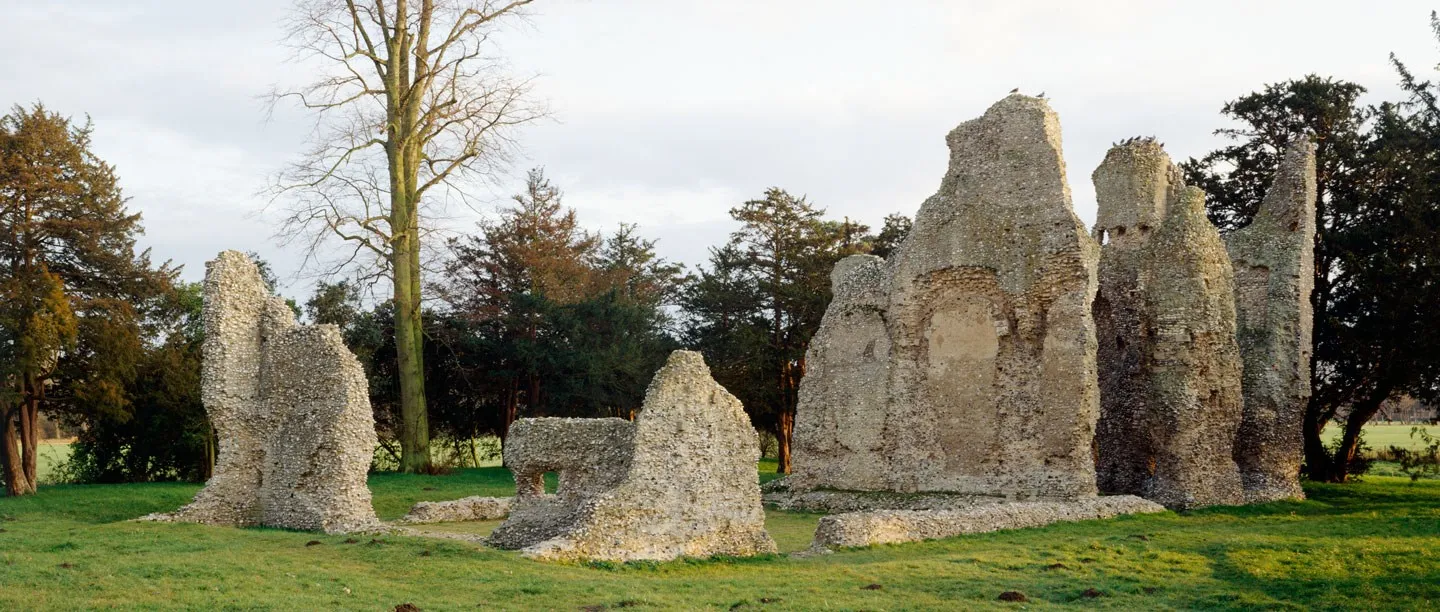 The tall jagged flint walls of Weeting Castle's ruined keep on a lawn, among yew trees and a tall bare tree under a pale sky