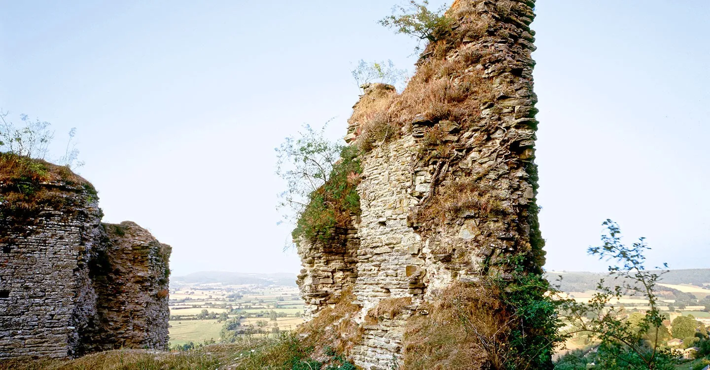 The shattered stone walls of Wigmore Castle's keep, overgrown with grass and saplings, above farmland in the Welsh Marches