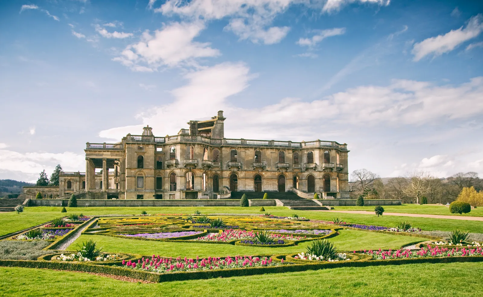 The burnt-out east wing behind spring parterres of hyacinths and pansies