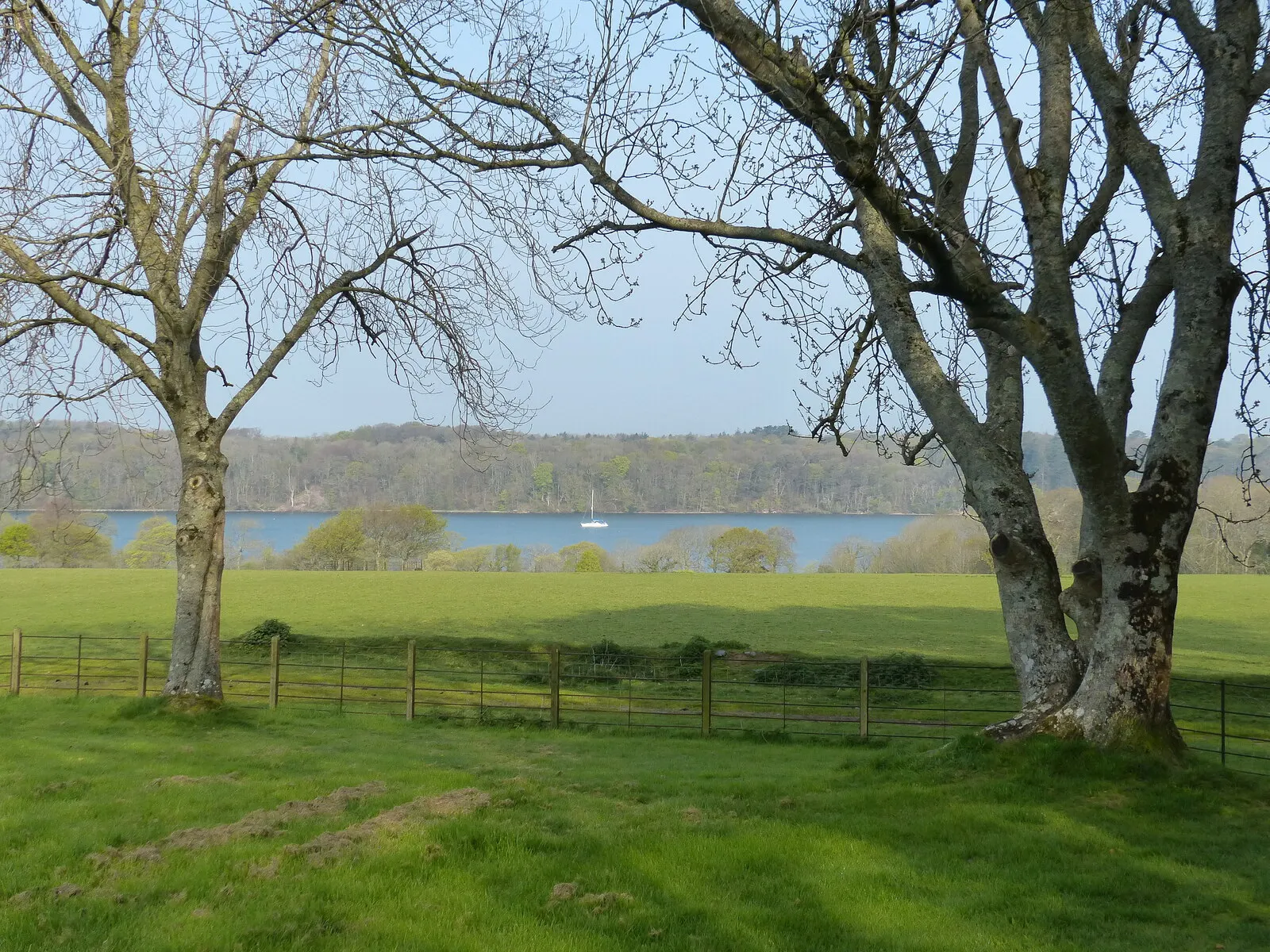 Glan Faenol