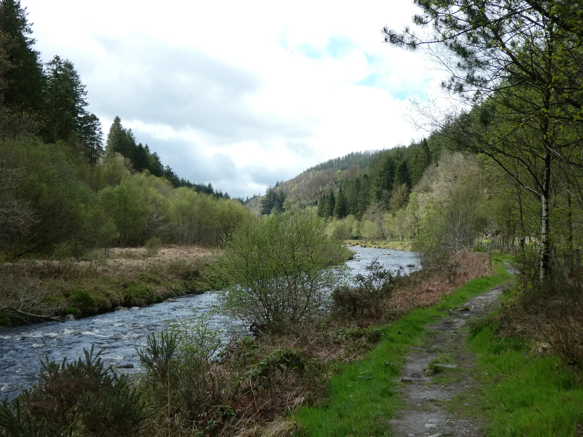 Hafod Estate