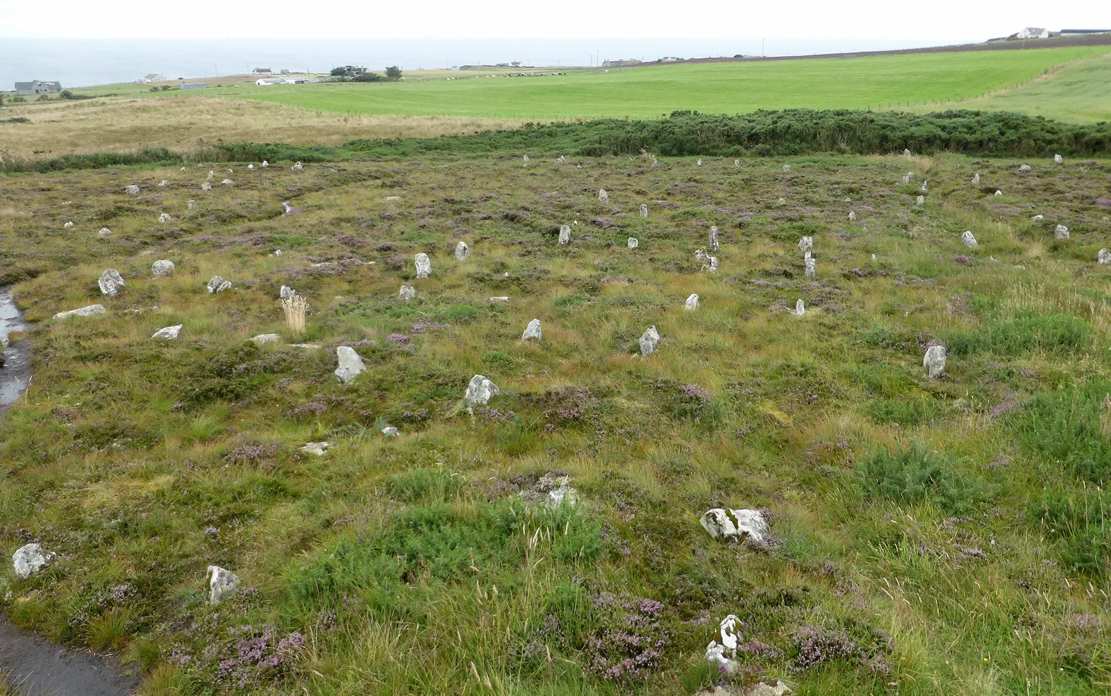 Hill o' Many Stanes