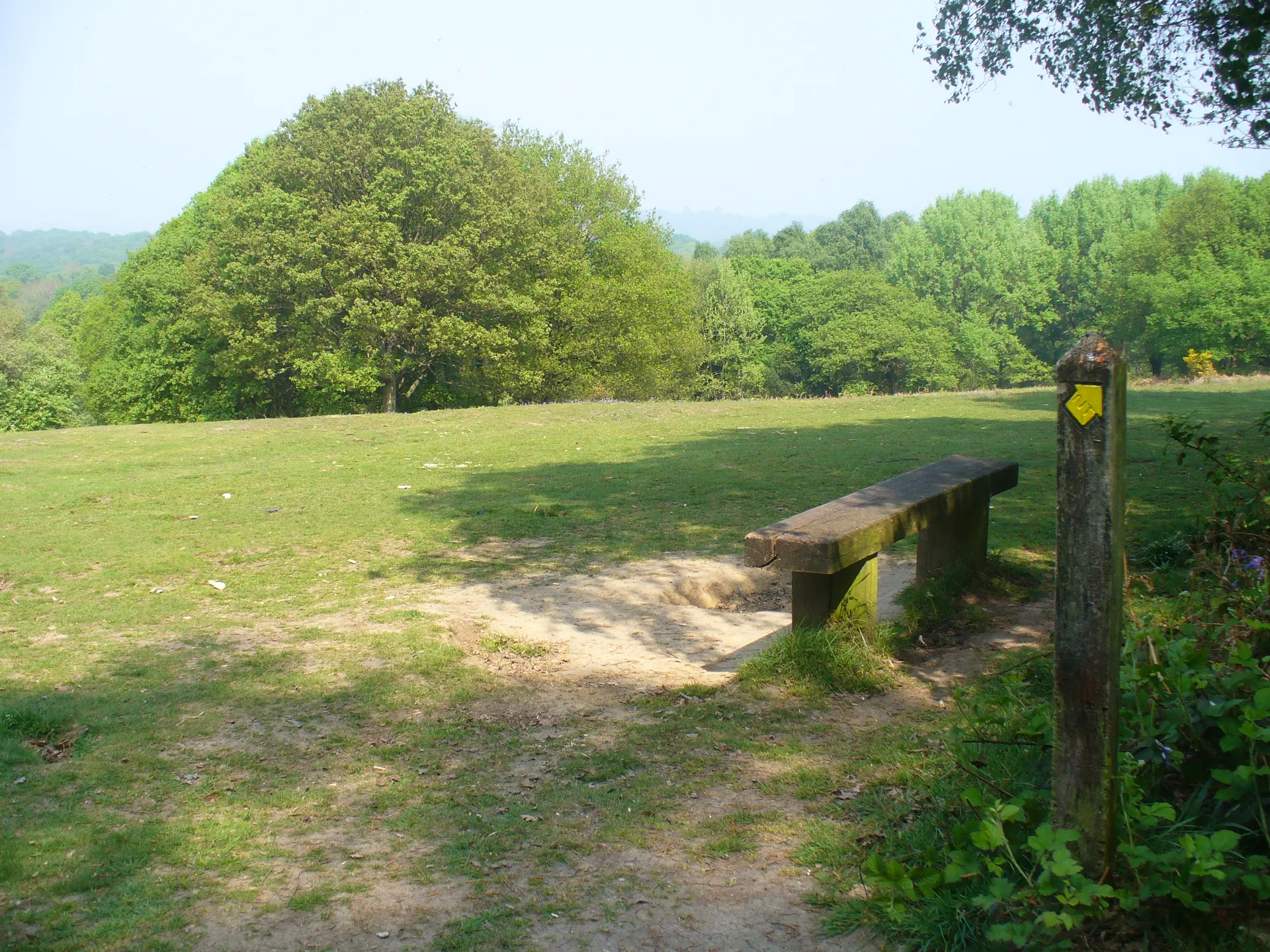 Holmwood Common
