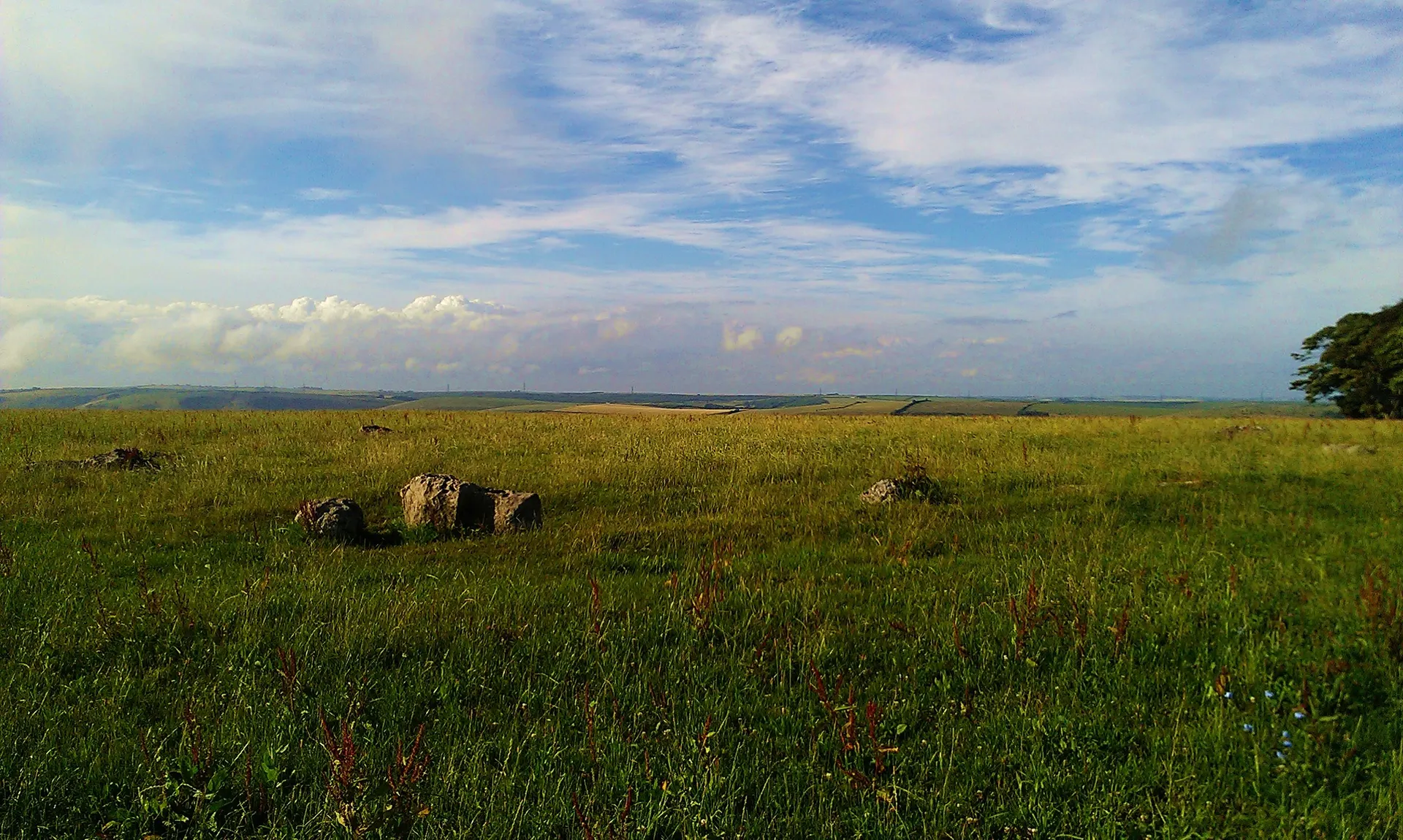Kingston Russell Stone Circle