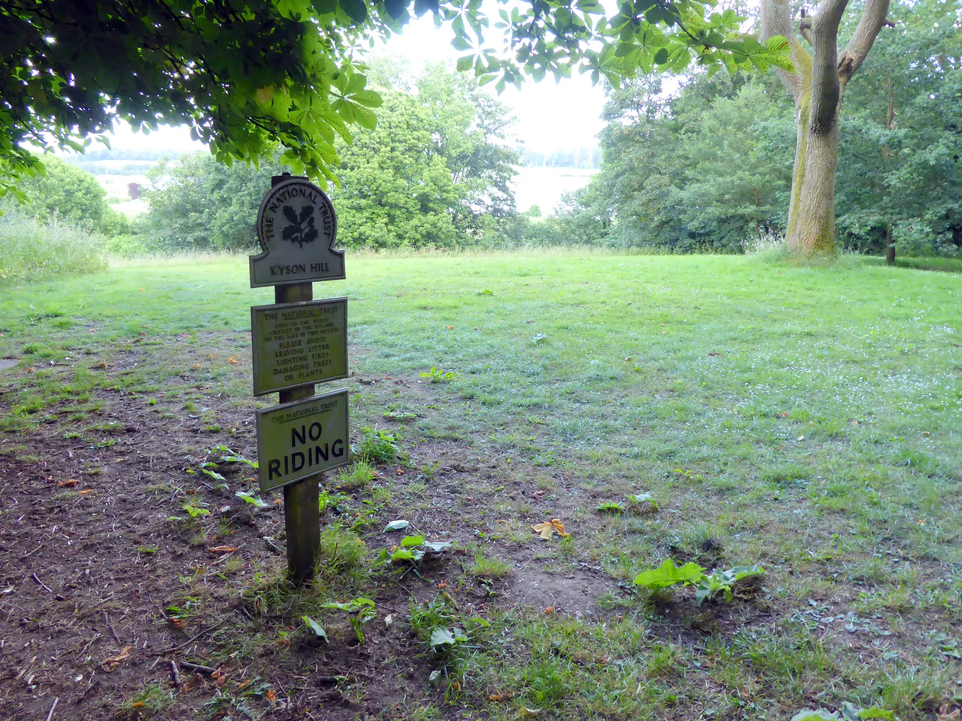 Kyson Hill