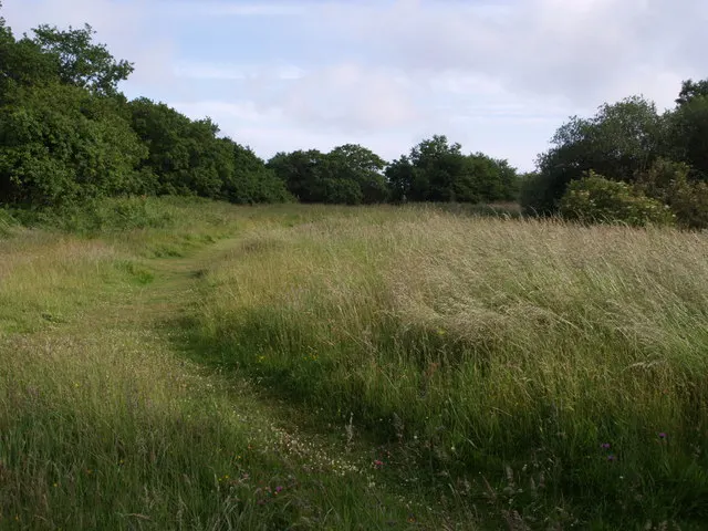 Lambert's and Coney's Castle