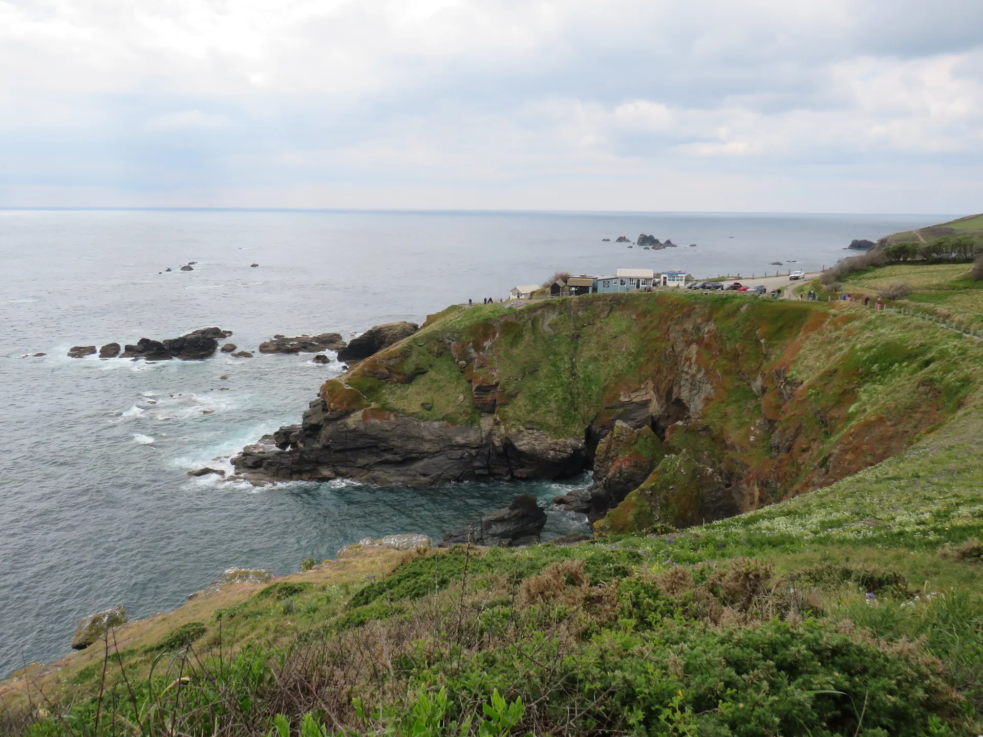 Lizard Point