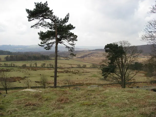 Longshaw Estate