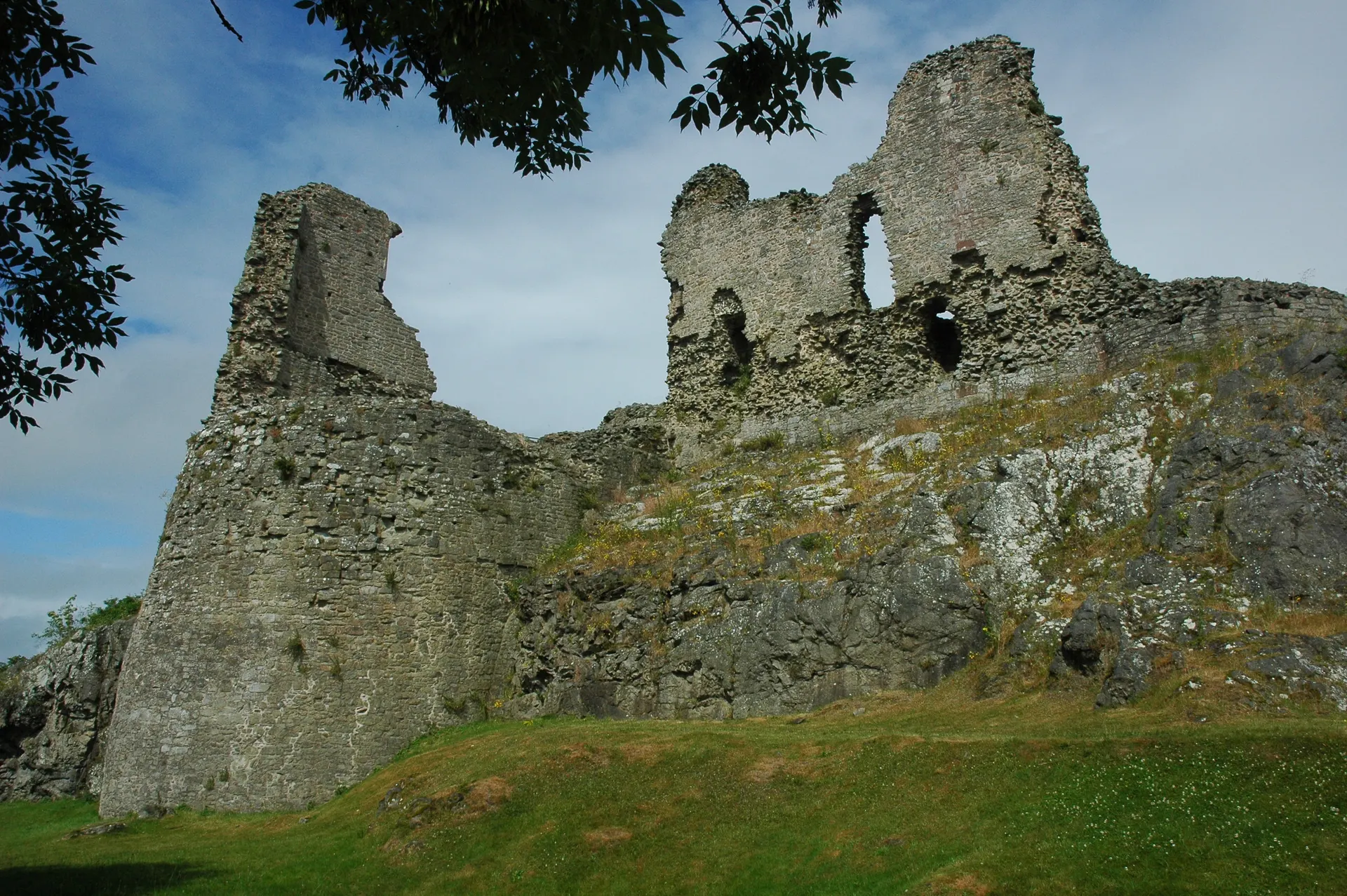 Montgomery Castle