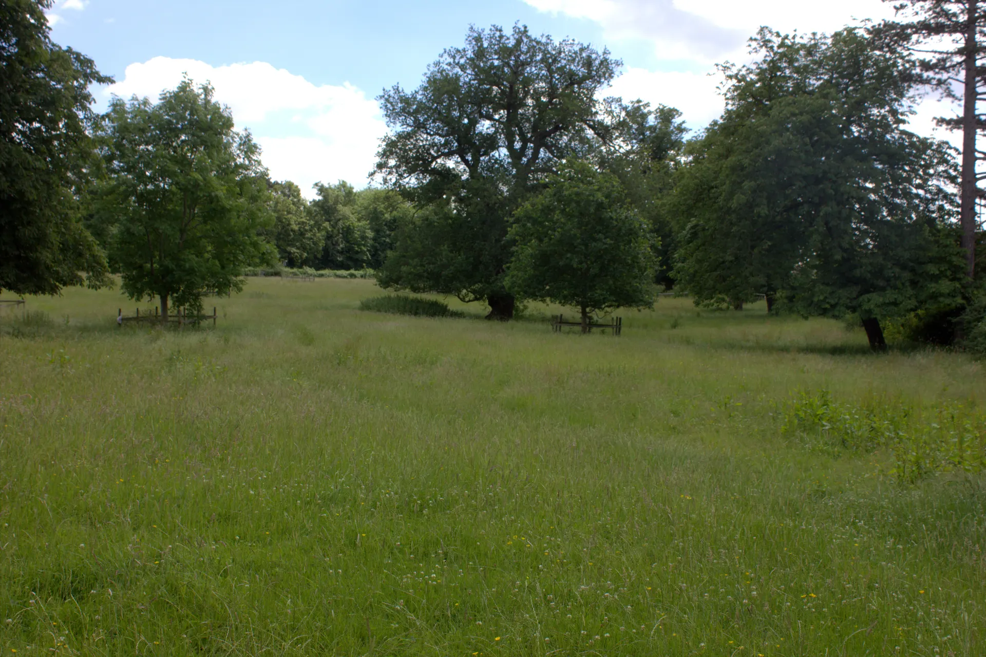 Morven Park