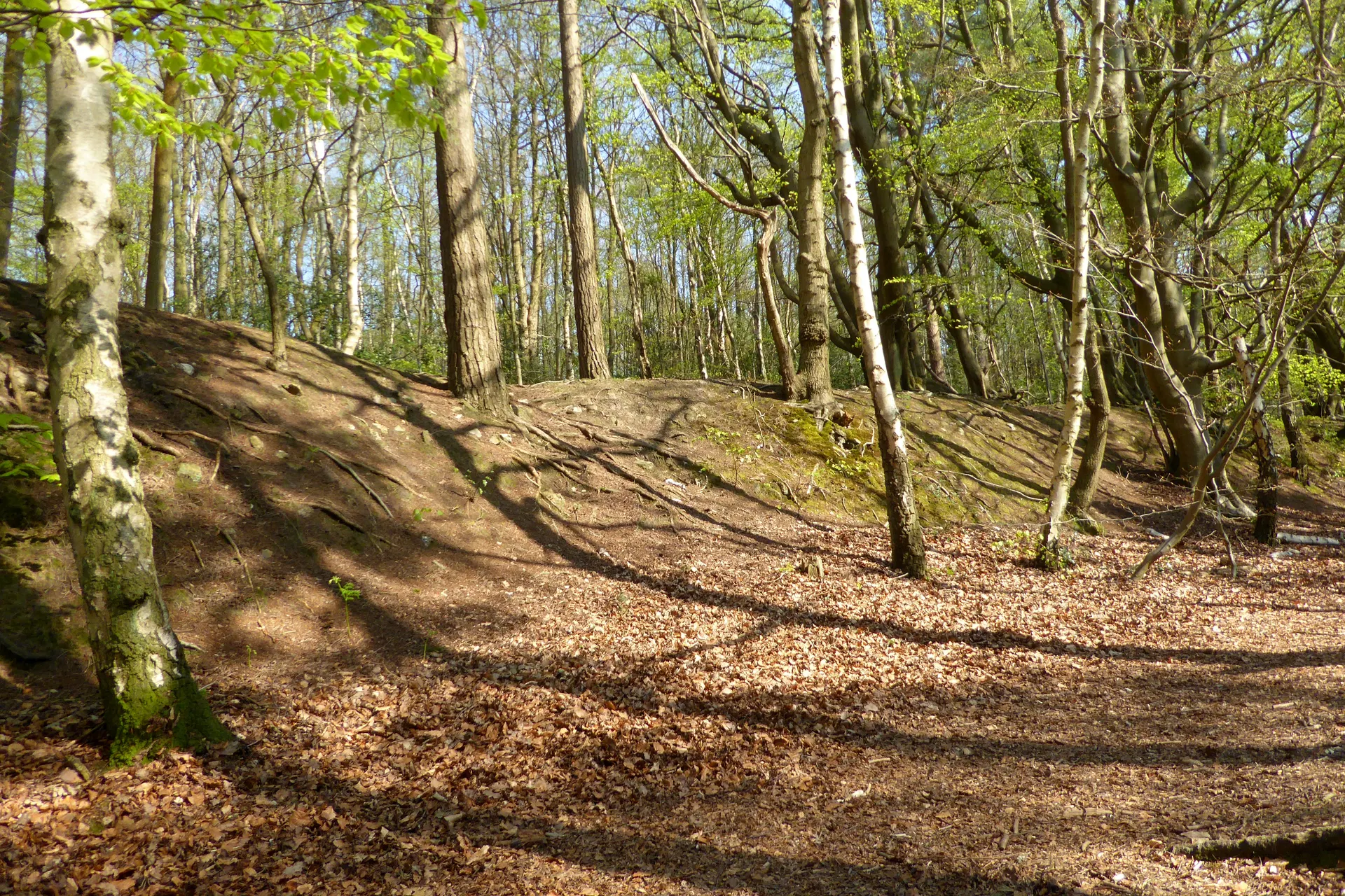 Oldbury Hill