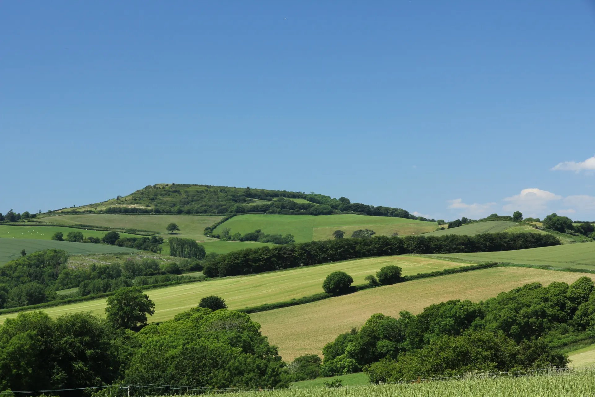 Pilsdon Pen
