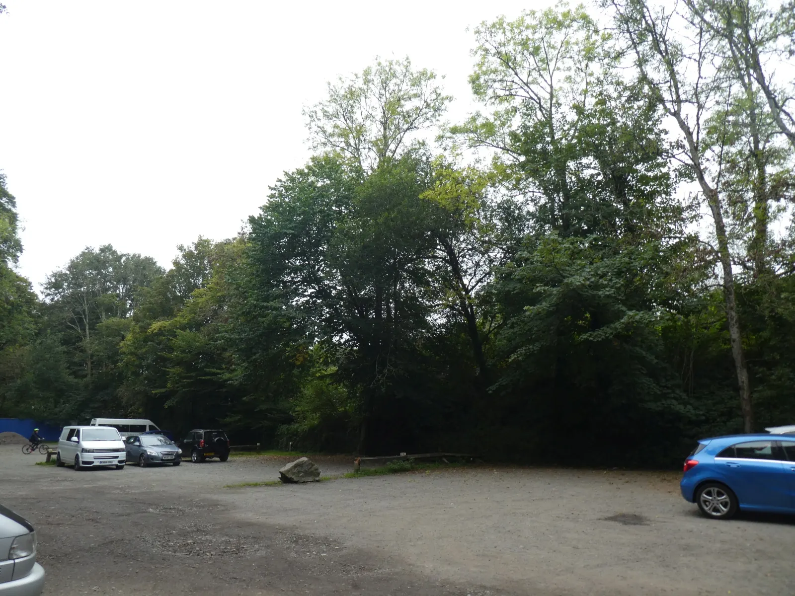 Plymbridge Woods