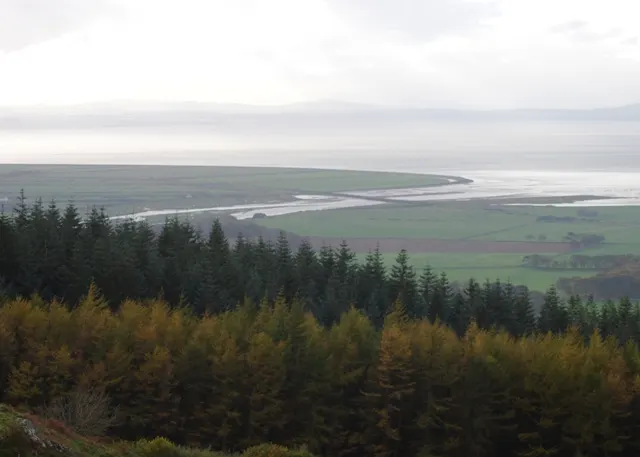 Roe Estuary