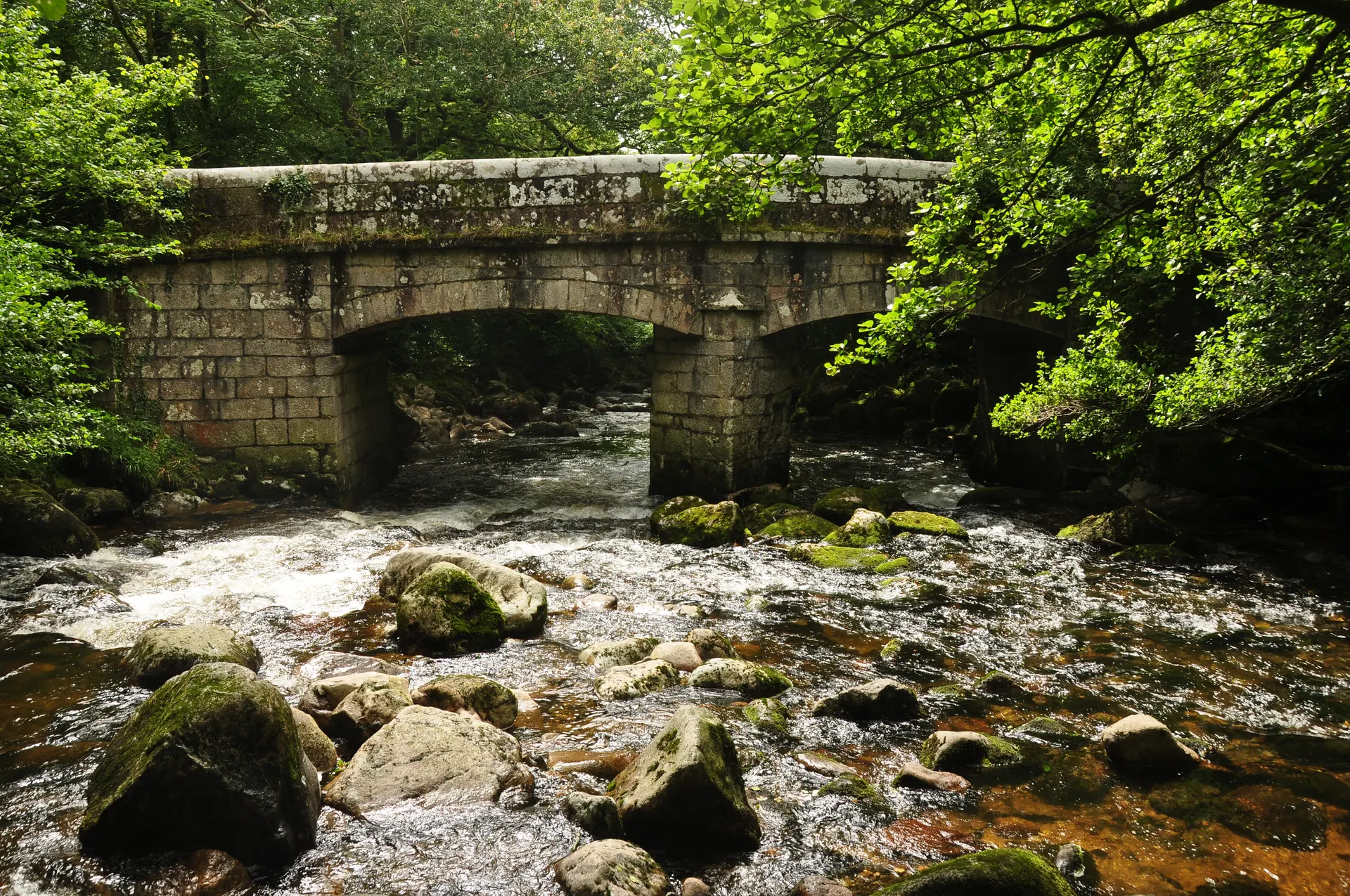 Shaugh Bridge