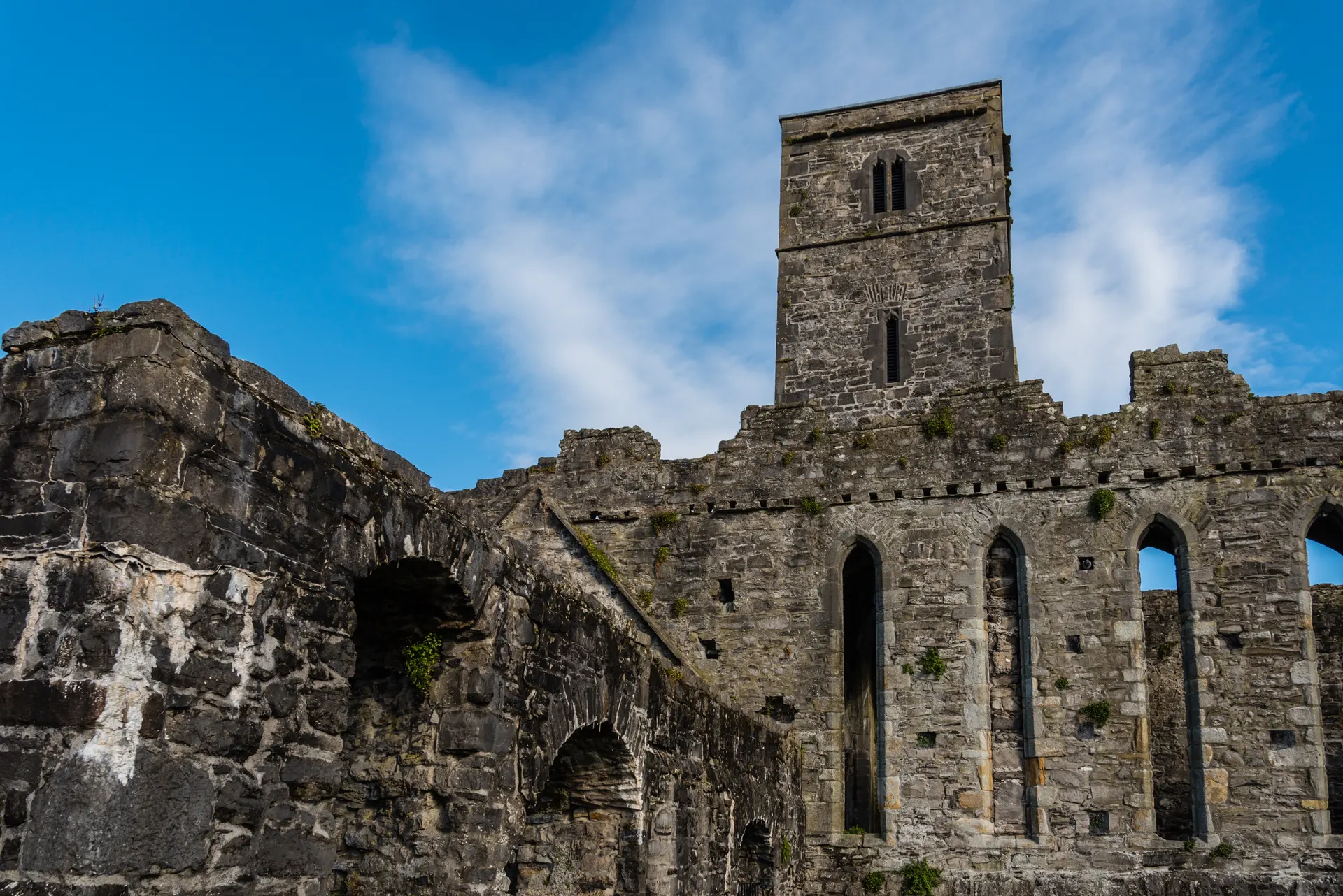 Sligo Abbey
