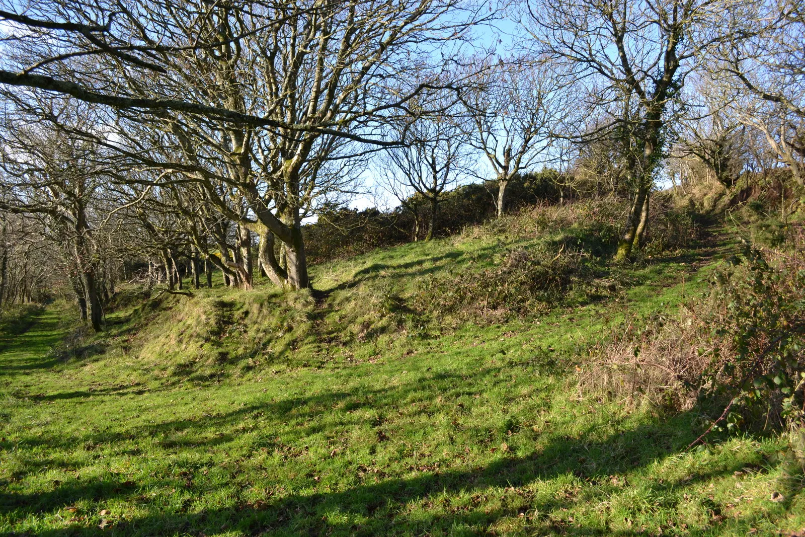 Southwood Estate