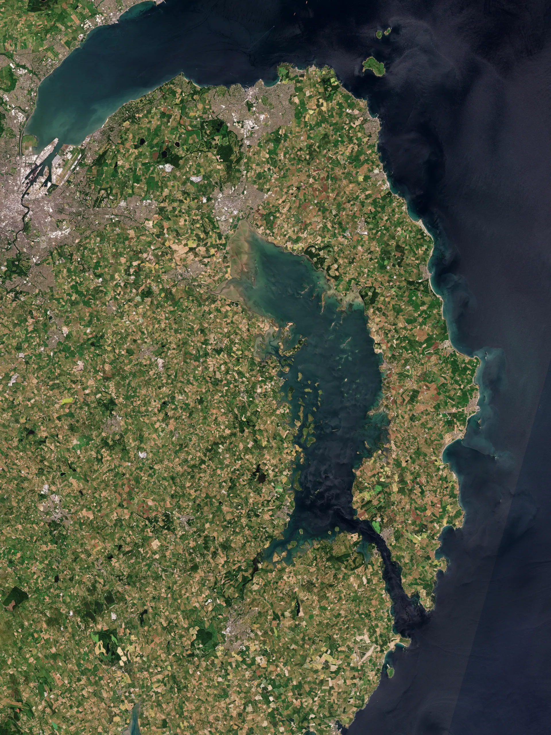 Strangford Lough