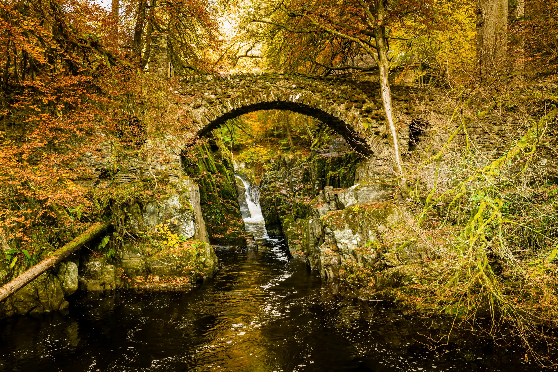 The Hermitage
