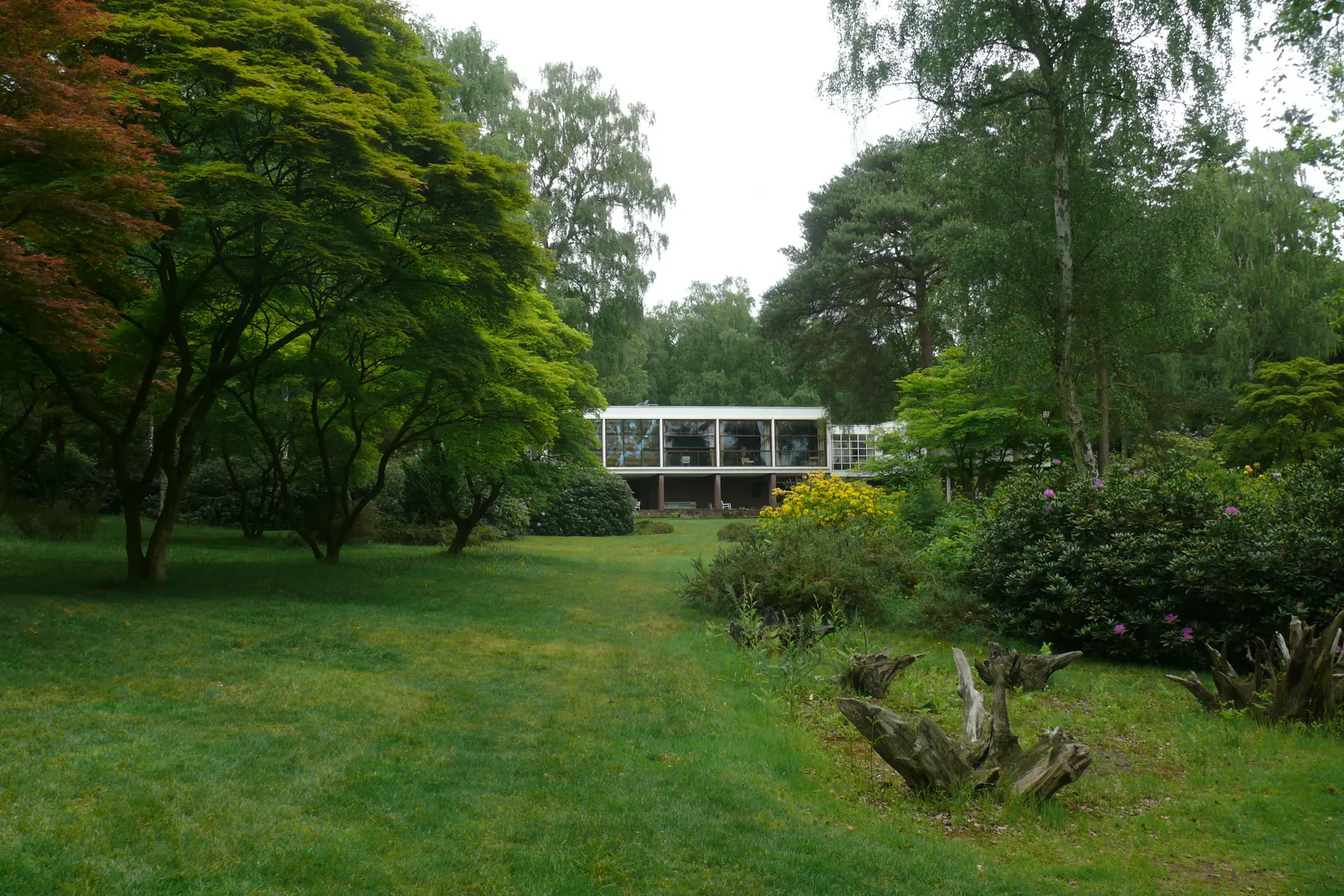 The Homewood