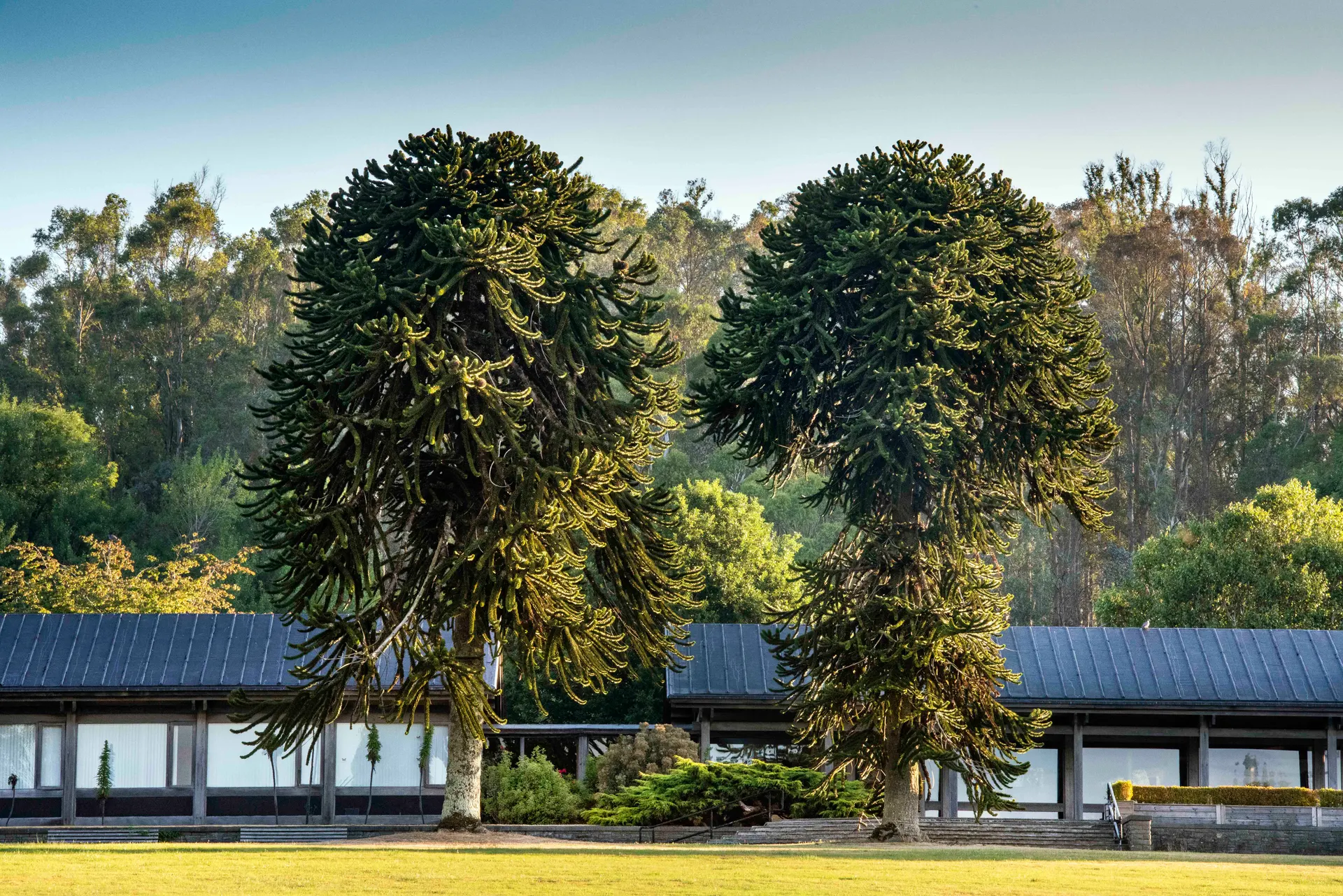 John F. Kennedy Arboretum