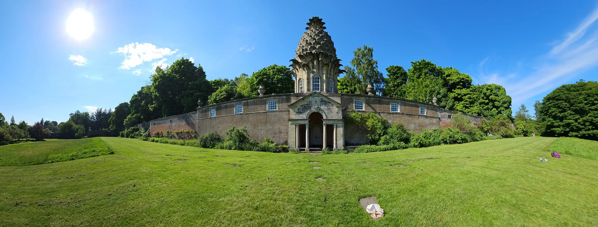 The Pineapple