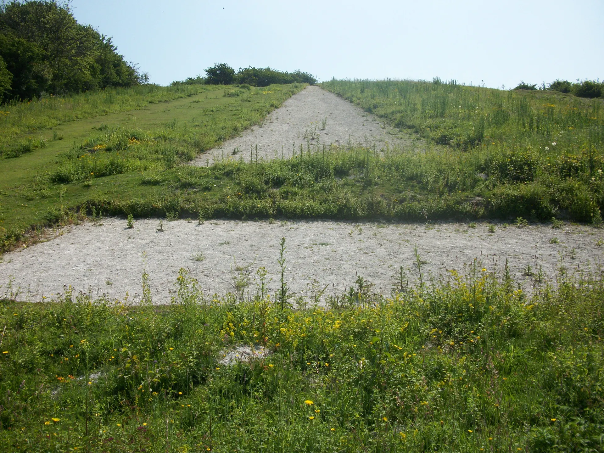 Watlington Hill