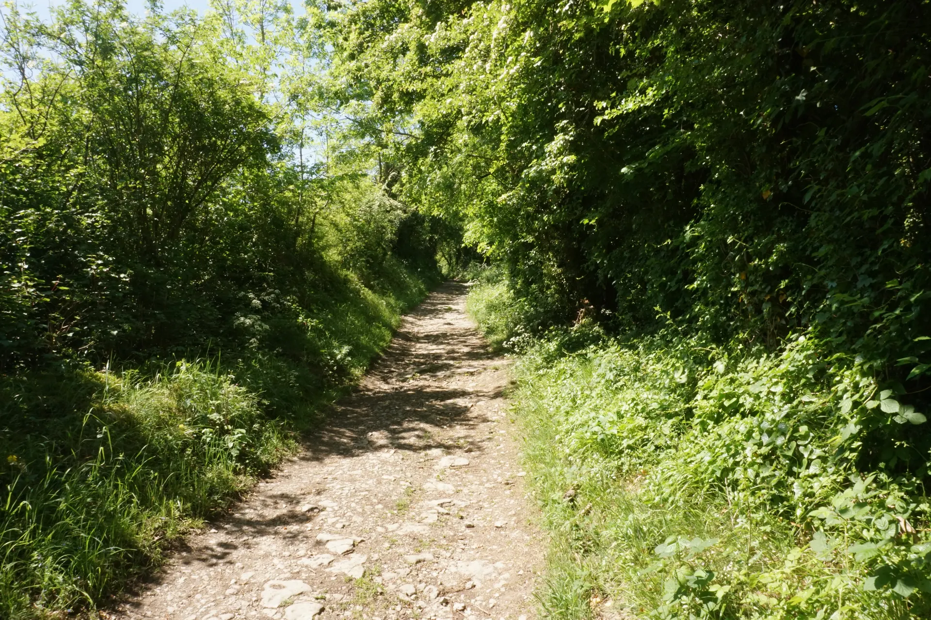 Wenlock Edge