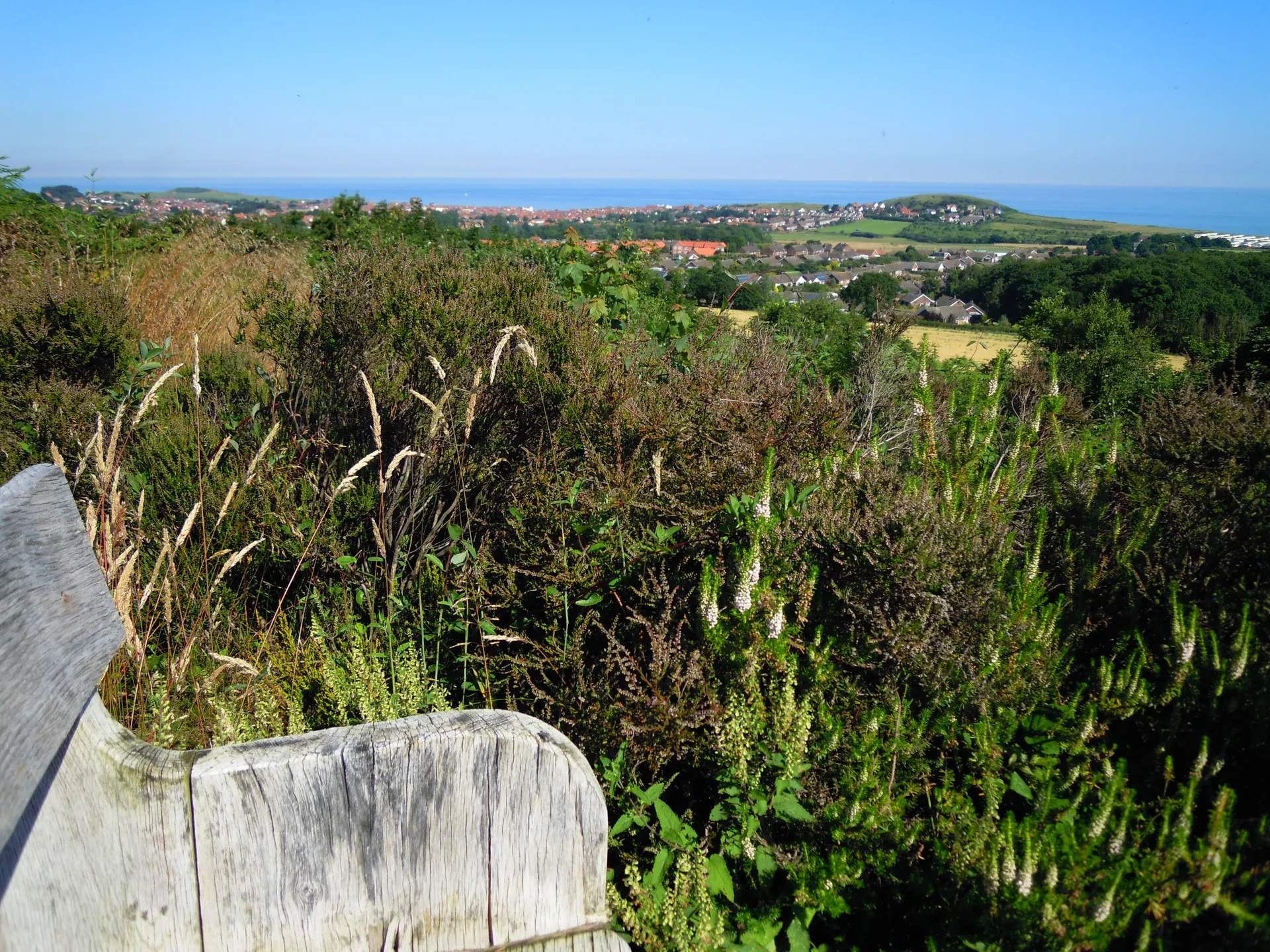 West Runton and Beeston Regis Heath
