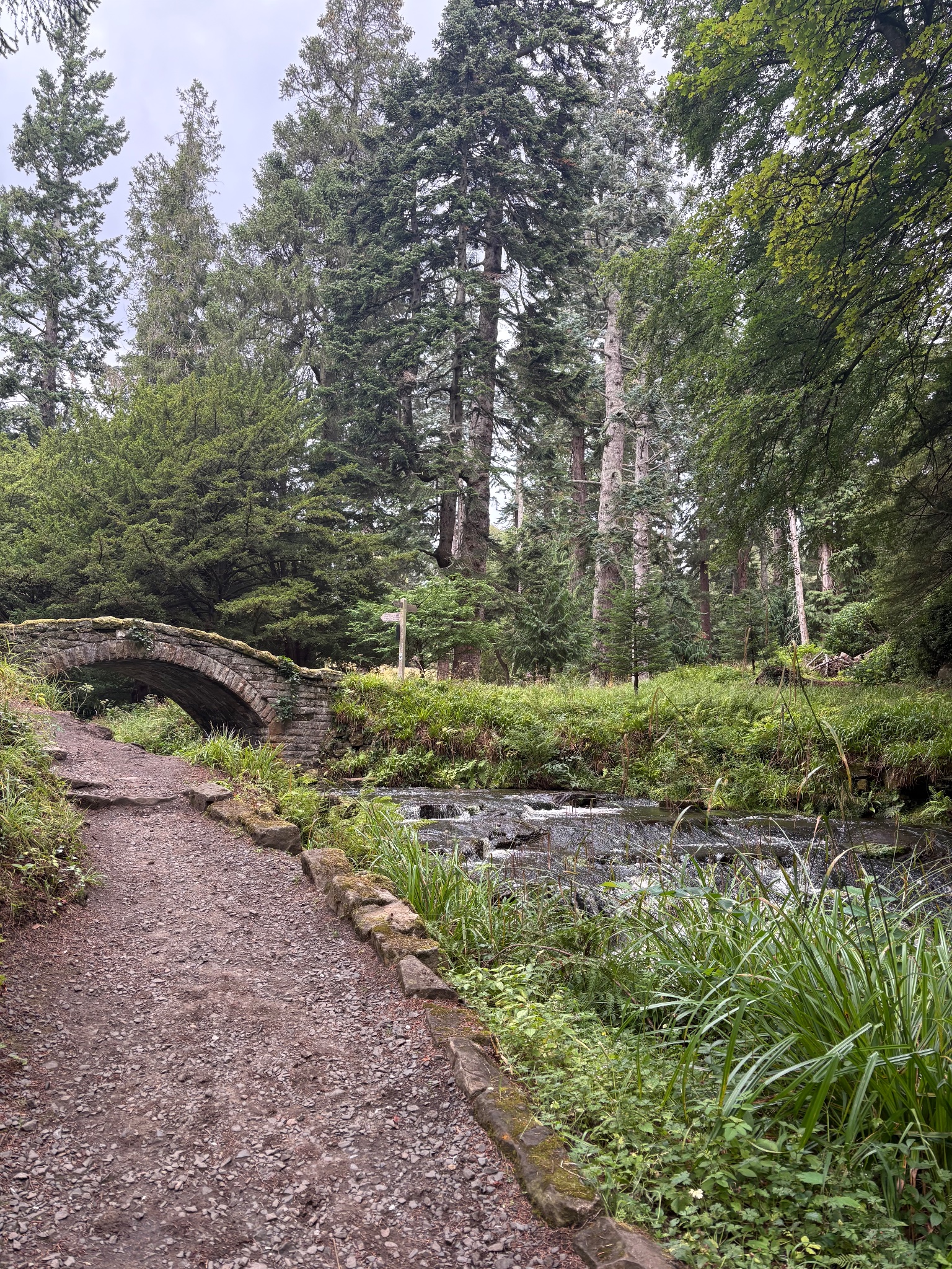Cragside, photographed by a visitor