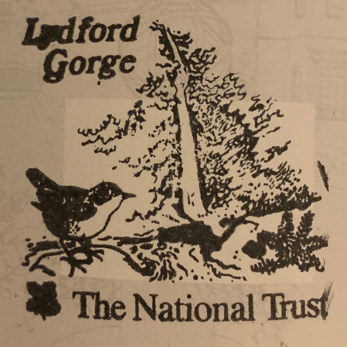 Official stamp shared by Hannah Carnley