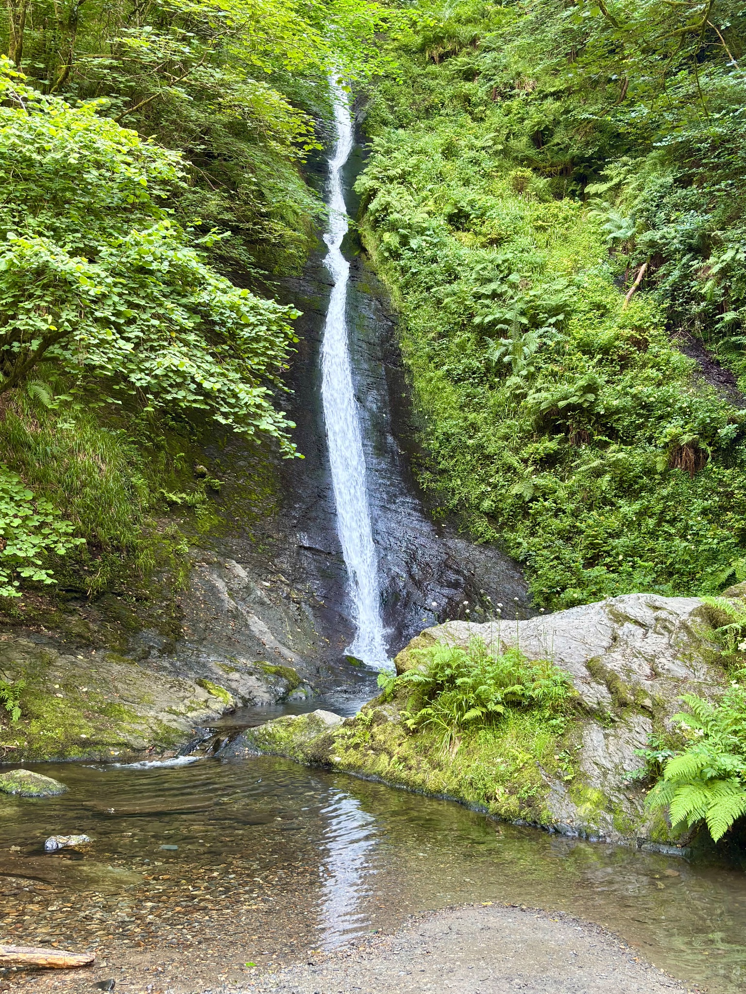 Lydford Gorge, photographed by a visitor