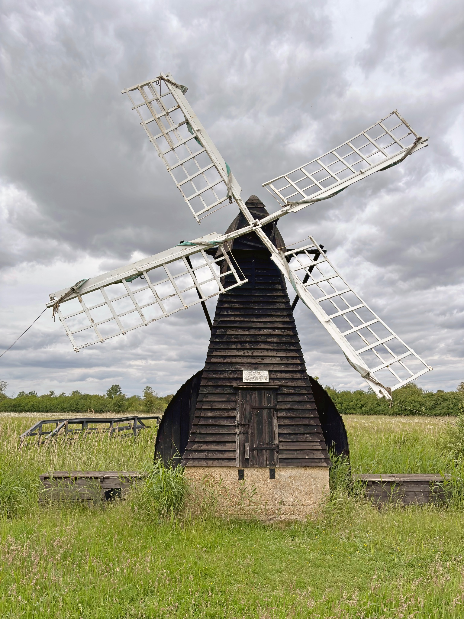 Wicken Fen, photographed by a visitor