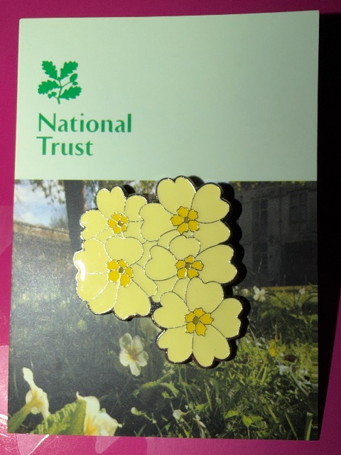 Pin badge at Penrose