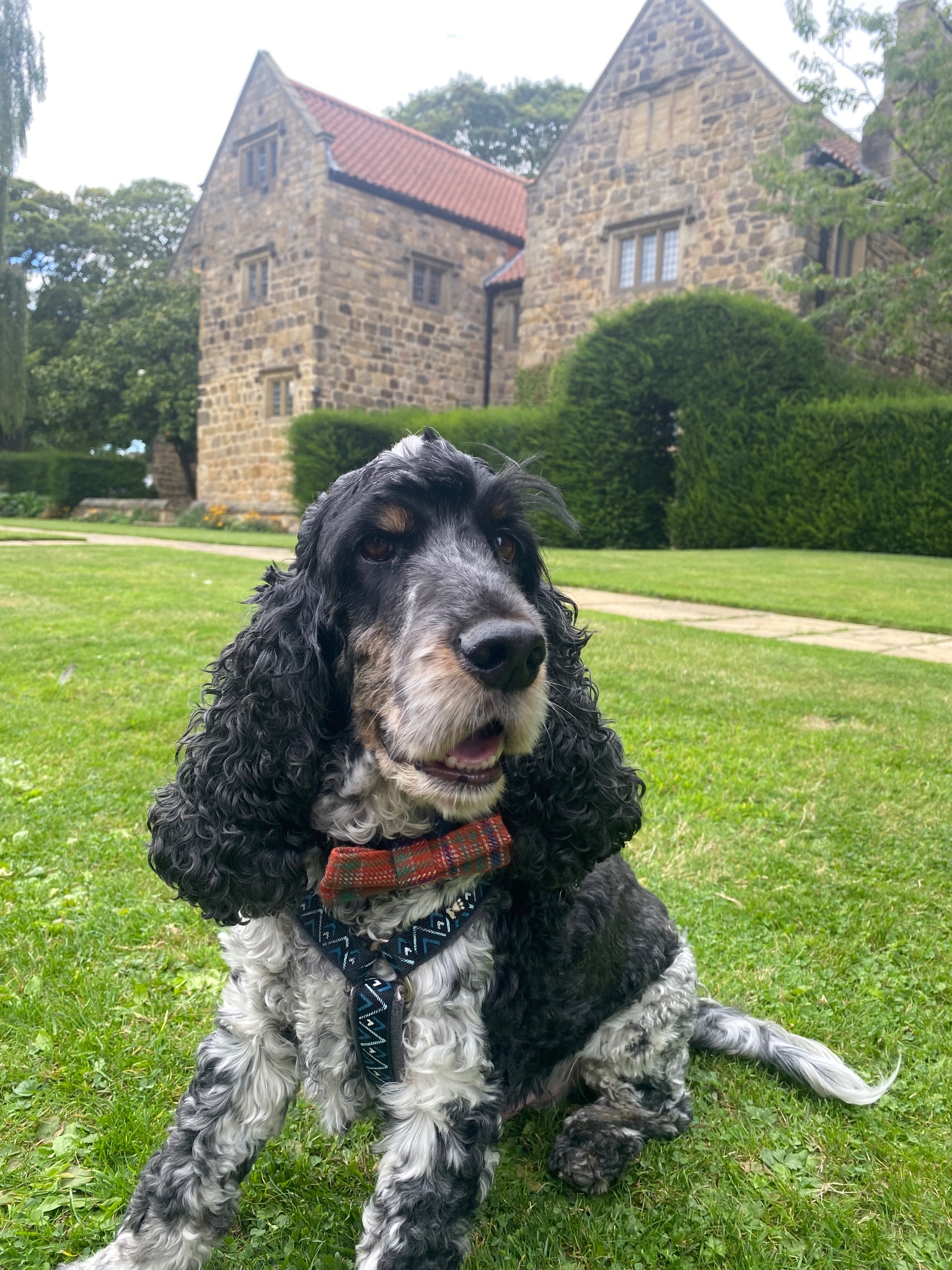 Washington Old Hall, photographed by a visitor