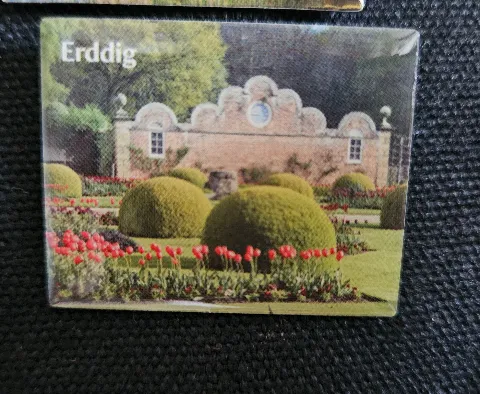 Pin badge at Erddig
