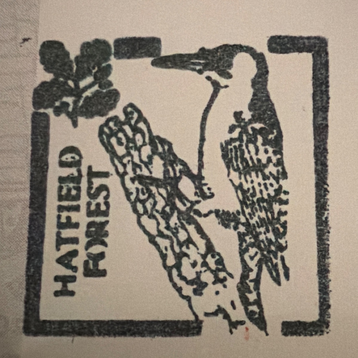 Official stamp shared by Alice Mazarot