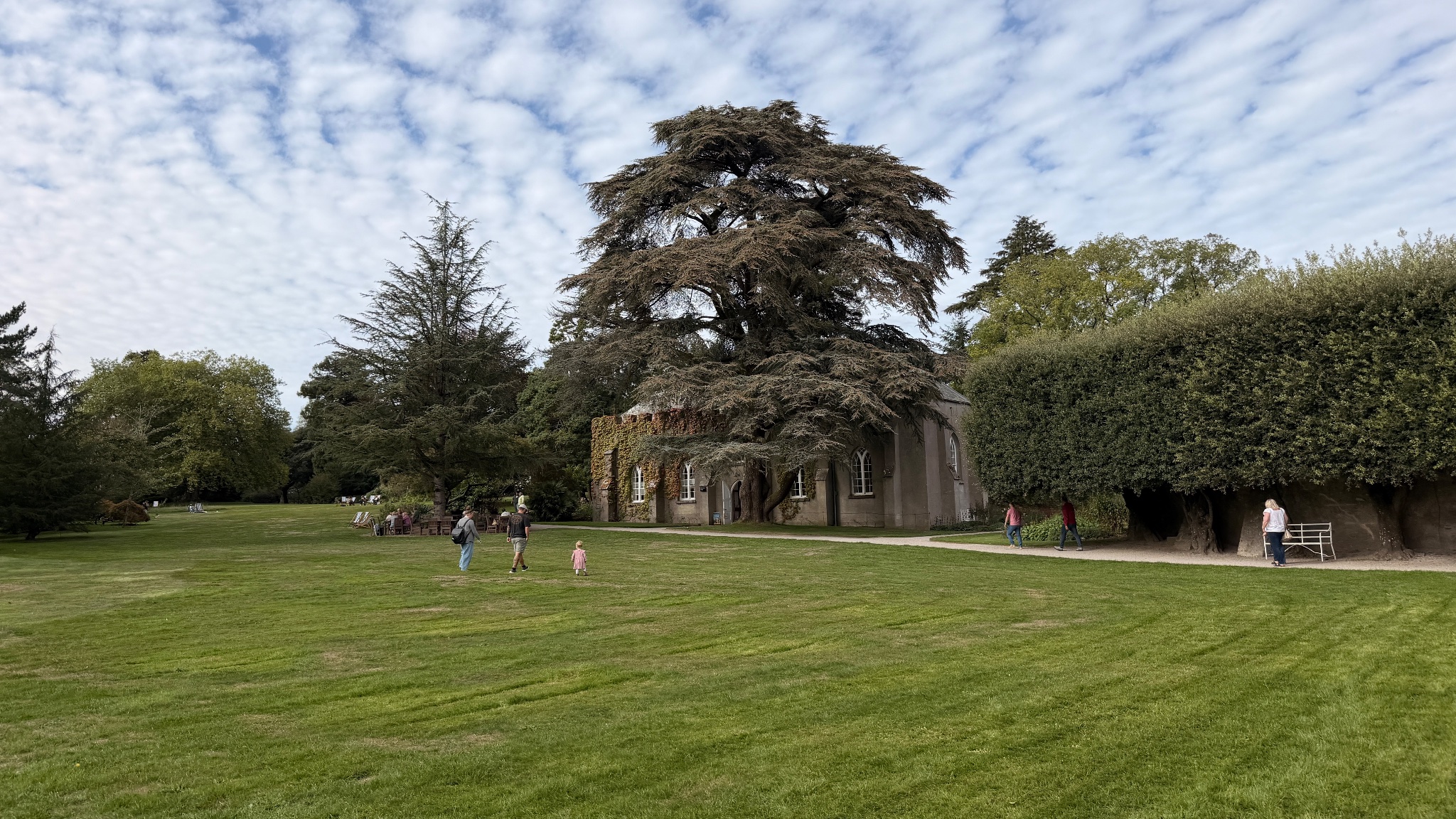 Saltram, photographed by a visitor