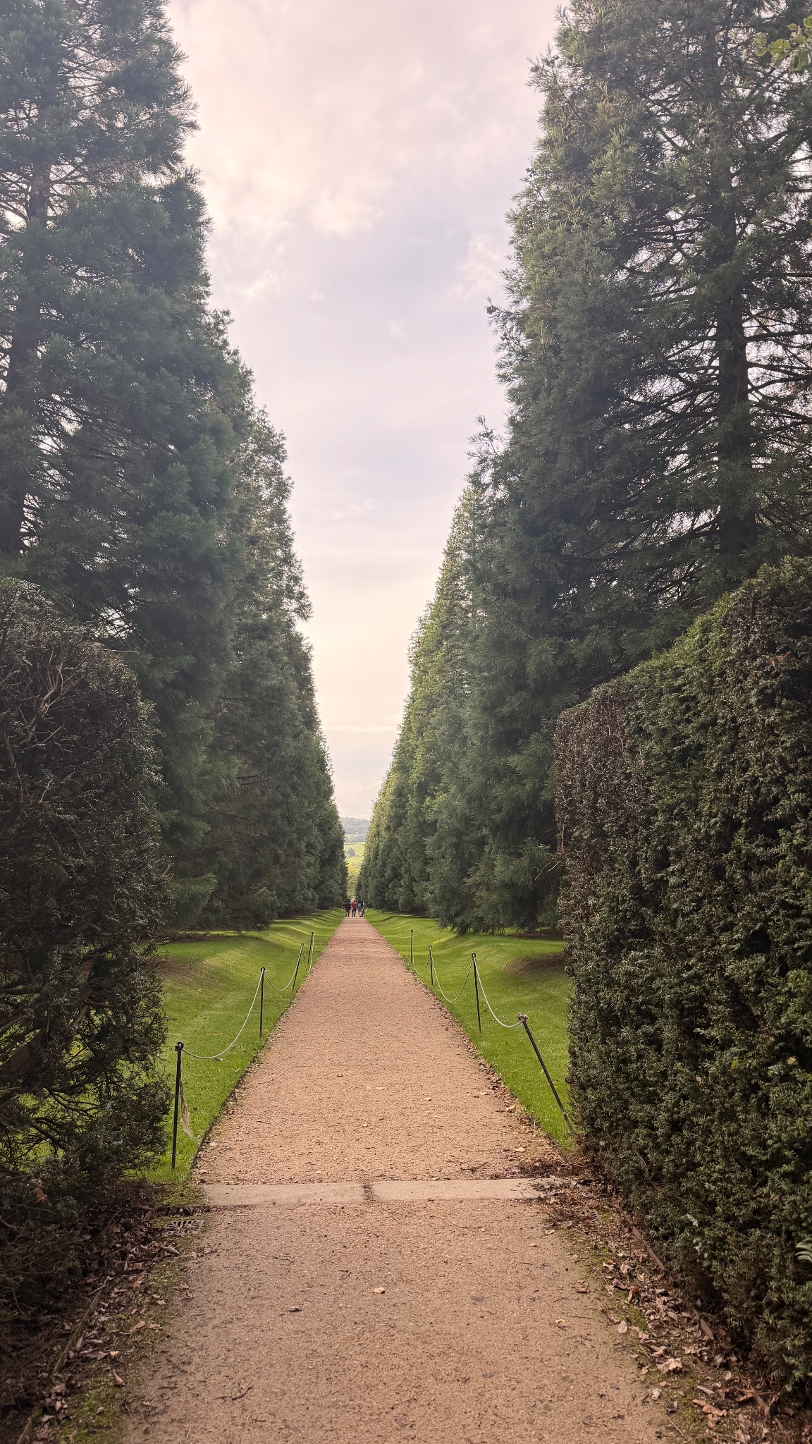 Biddulph Grange Garden, photographed by a visitor