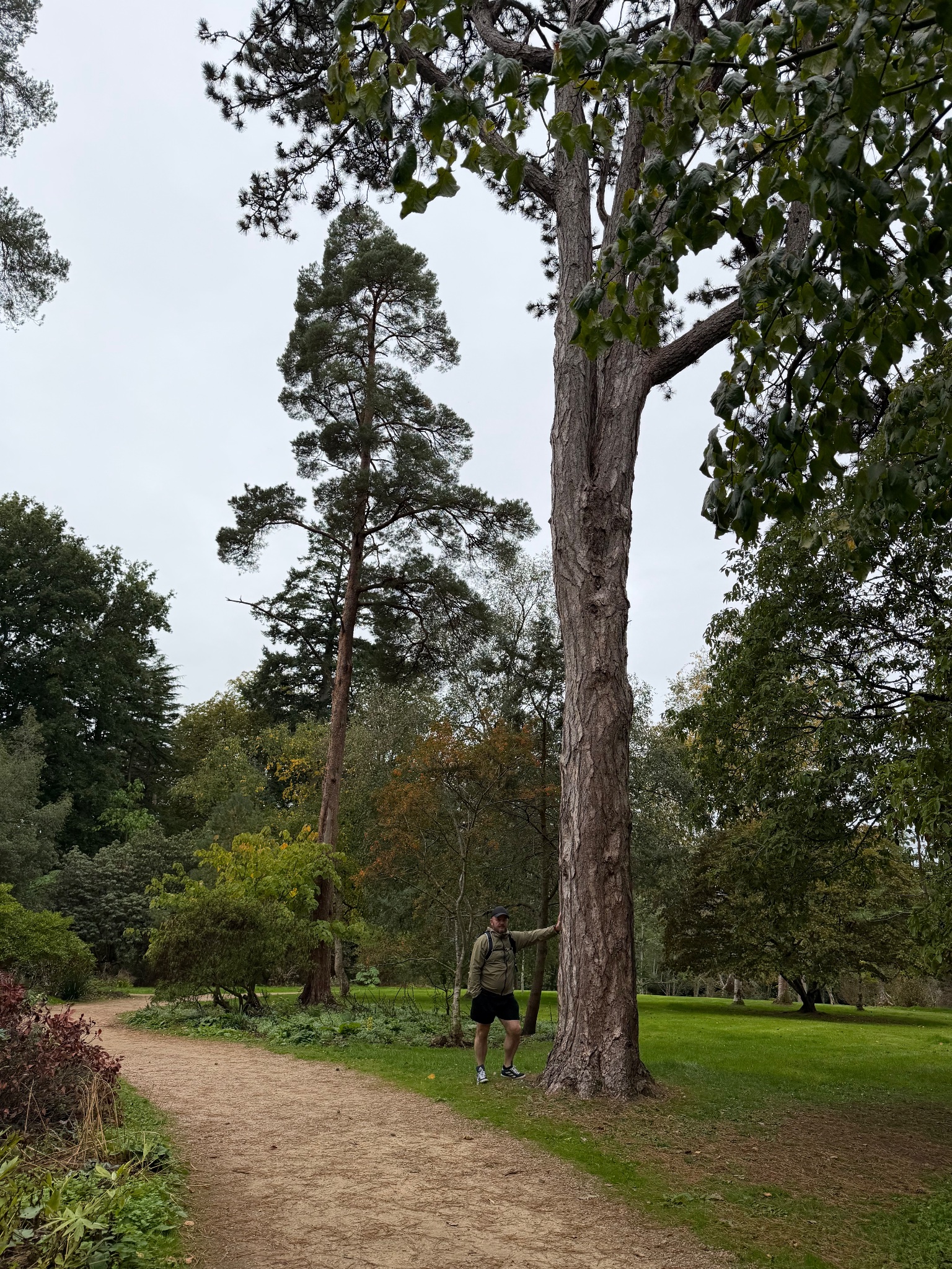 Knightshayes, photographed by a visitor