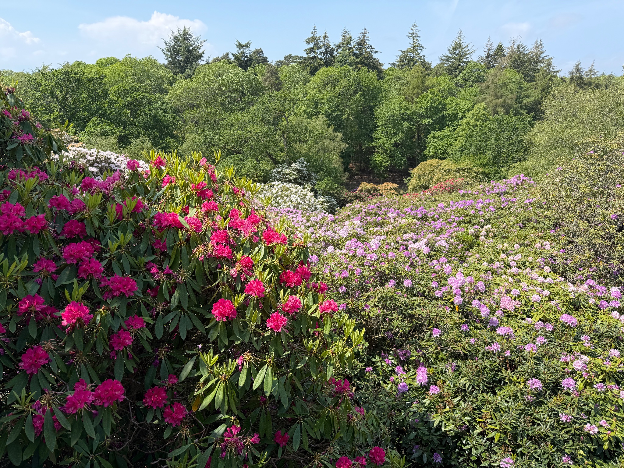 Sheringham Park, photographed by a visitor