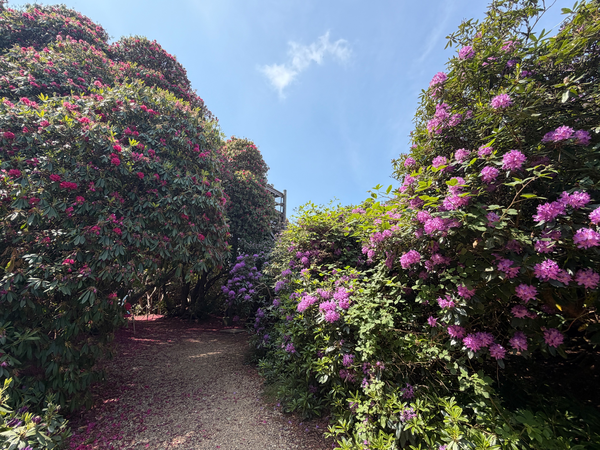 Sheringham Park, photographed by a visitor
